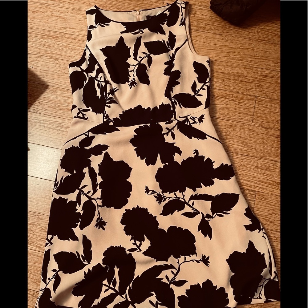 NEW The Limited Sleeveless size 10 Dress